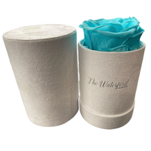 Load image into Gallery viewer, Elegant Single Eternal Rose in White Suede Hat Box