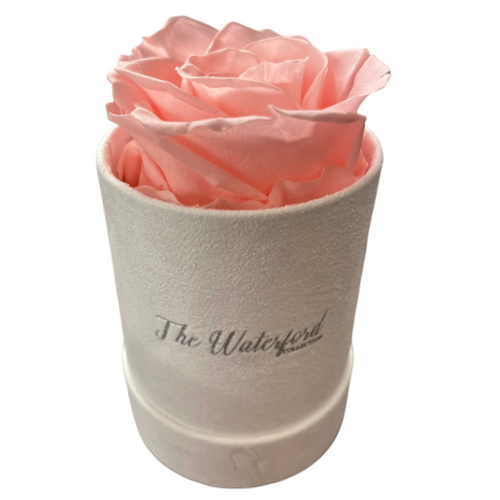 Elegant Single Eternal Rose in White Suede Hat Box