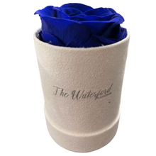 Load image into Gallery viewer, Elegant Single Eternal Rose in White Suede Hat Box