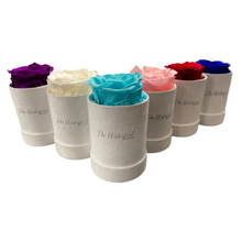 Load image into Gallery viewer, Elegant Single Eternal Rose in White Suede Hat Box