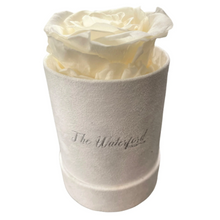 Load image into Gallery viewer, Elegant Single Eternal Rose in White Suede Hat Box