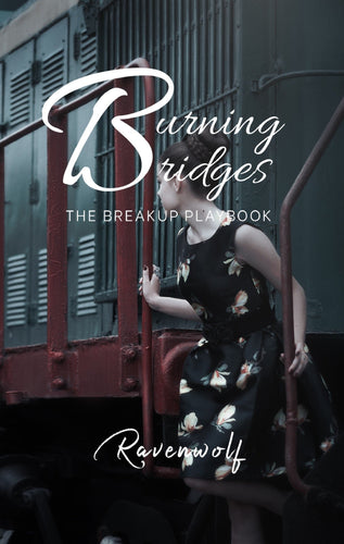 Book 7: Burning Bridges: The Breakup Playbook (Paperback)