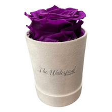 Load image into Gallery viewer, Elegant Single Eternal Rose in White Suede Hat Box